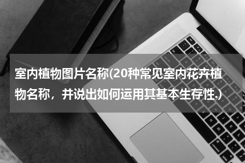 室内植物图片名称(20种常见室内花卉植物名称，并说出如何运用其基本生存性.)