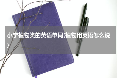 小学植物类的英语单词(植物用英语怎么说)