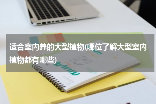 适合室内养的大型植物(哪位了解大型室内植物都有哪些)