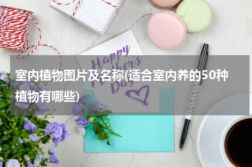 室内植物图片及名称(适合室内养的50种植物有哪些)