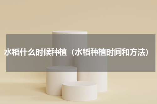 水稻什么时候种植（水稻种植时间和方法）