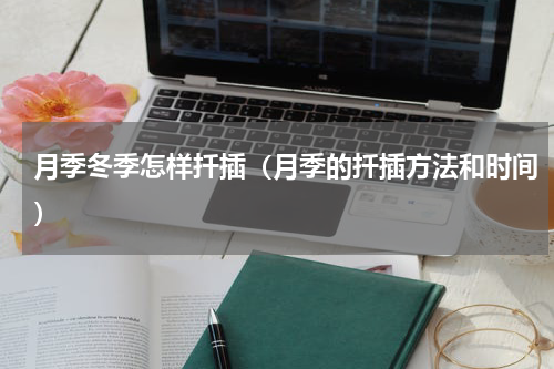 月季冬季怎样扦插（月季的扦插方法和时间）