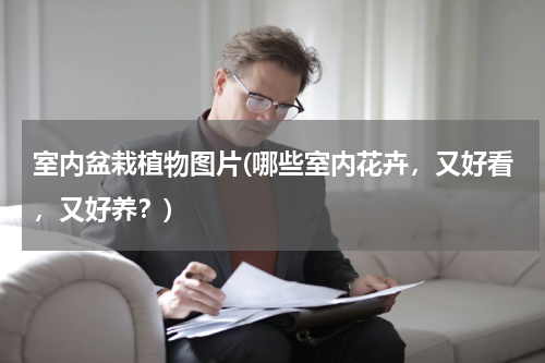 室内盆栽植物图片(哪些室内花卉，又好看，又好养？)