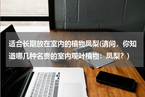适合长期放在室内的植物凤梨(请问，你知道哪几种名贵的室内观叶植物：凤梨？)