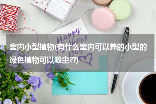 室内小型植物(有什么室内可以养的小型的绿色植物可以吸尘??)