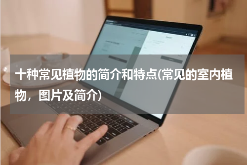 十种常见植物的简介和特点(常见的室内植物，图片及简介)