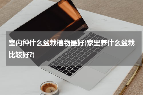 室内种什么盆栽植物最好(家里养什么盆栽比较好?)