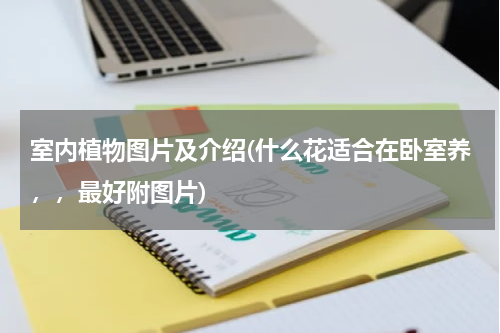 室内植物图片及介绍(什么花适合在卧室养，，最好附图片)