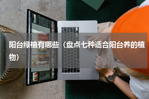 阳台绿植有哪些（盘点七种适合阳台养的植物）