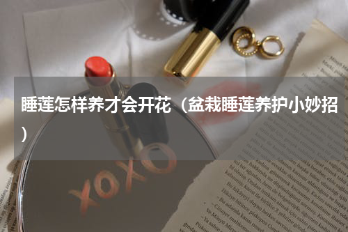睡莲怎样养才会开花（盆栽睡莲养护小妙招）