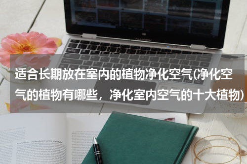 适合长期放在室内的植物净化空气(净化空气的植物有哪些，净化室内空气的十大植物)