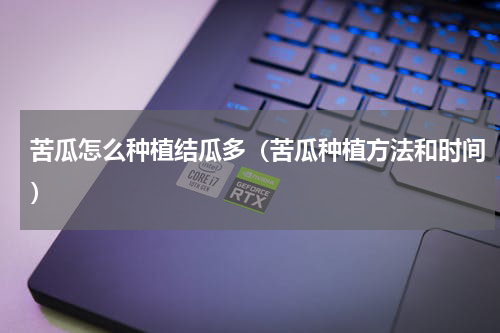 苦瓜怎么种植结瓜多（苦瓜种植方法和时间）