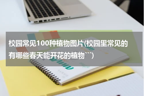校园常见100种植物图片(校园里常见的有哪些春天能开花的植物```)