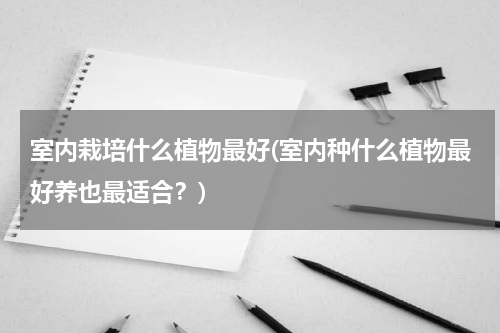 室内栽培什么植物最好(室内种什么植物最好养也最适合？)
