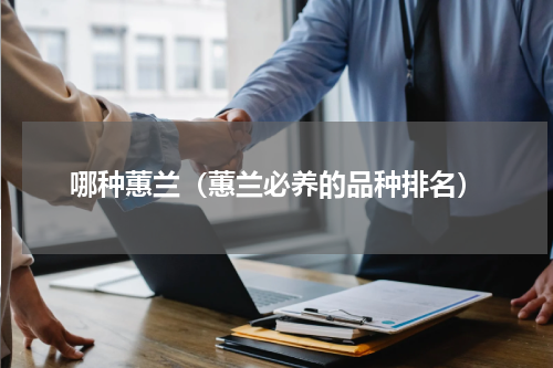 哪种蕙兰（蕙兰必养的品种排名）