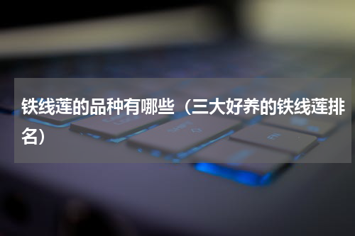 铁线莲的品种有哪些（三大好养的铁线莲排名）