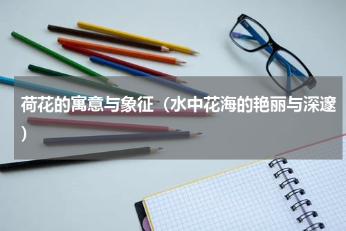 荷花的寓意与象征（水中花海的艳丽与深邃）