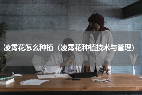 凌霄花怎么种植（凌霄花种植技术与管理）