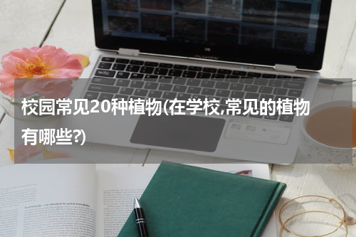 校园常见20种植物(在学校,常见的植物有哪些?)