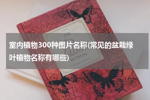 室内植物300种图片名称(常见的盆栽绿叶植物名称有哪些)