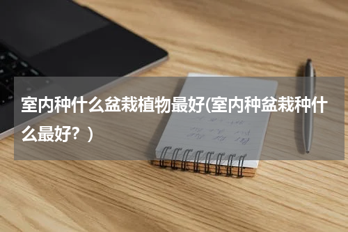 室内种什么盆栽植物最好(室内种盆栽种什么最好？)