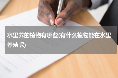 水里养的植物有哪些(有什么植物能在水里养殖呢)