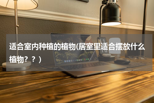 适合室内种植的植物(居室里适合摆放什么植物？？)