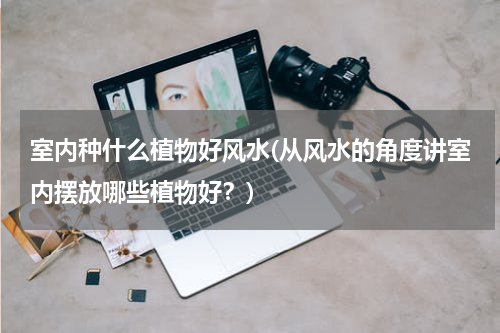 室内种什么植物好风水(从风水的角度讲室内摆放哪些植物好？)