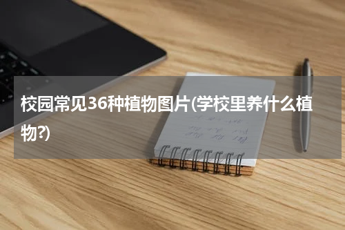 校园常见36种植物图片(学校里养什么植物?)