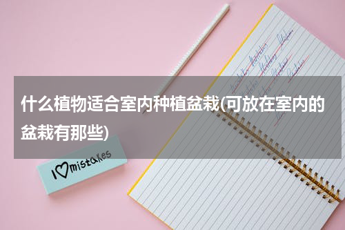 什么植物适合室内种植盆栽(可放在室内的盆栽有那些)