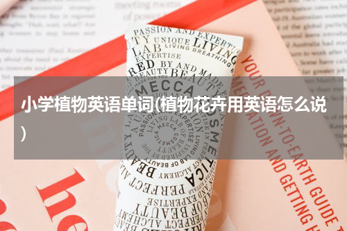 小学植物英语单词(植物花卉用英语怎么说)