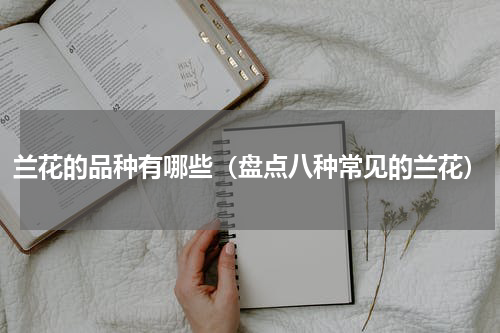 兰花的品种有哪些（盘点八种常见的兰花）