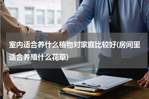 室内适合养什么植物对家庭比较好(房间里适合养殖什么花草)