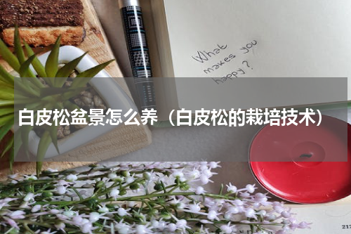 白皮松盆景怎么养（白皮松的栽培技术）