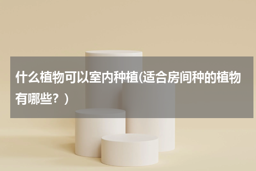 什么植物可以室内种植(适合房间种的植物有哪些？)