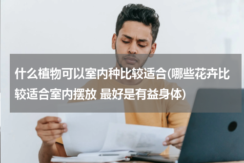 什么植物可以室内种比较适合(哪些花卉比较适合室内摆放 最好是有益身体)