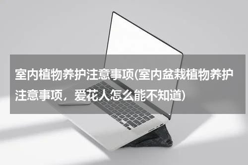 室内植物养护注意事项(室内盆栽植物养护注意事项，爱花人怎么能不知道)