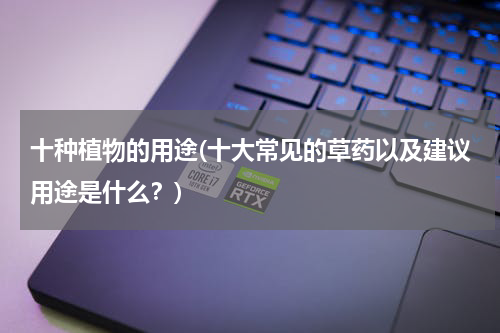 十种植物的用途(十大常见的草药以及建议用途是什么？)