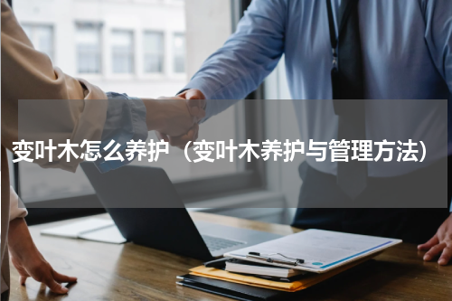 变叶木怎么养护（变叶木养护与管理方法）