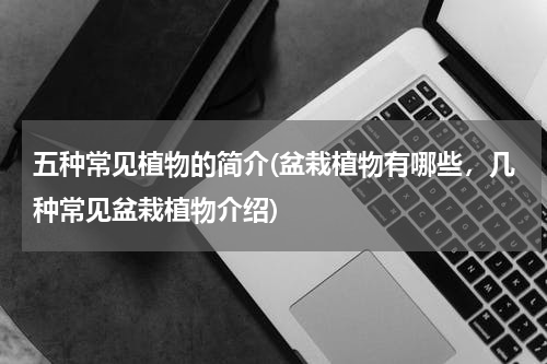 五种常见植物的简介(盆栽植物有哪些，几种常见盆栽植物介绍)