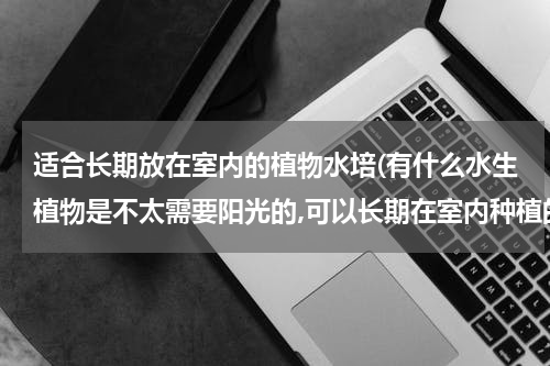 适合长期放在室内的植物水培(有什么水生植物是不太需要阳光的,可以长期在室内种植的?)