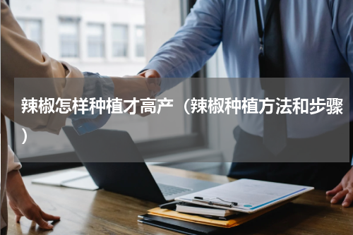 辣椒怎样种植才高产（辣椒种植方法和步骤）