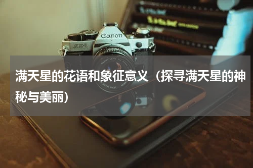 满天星的花语和象征意义（探寻满天星的神秘与美丽）