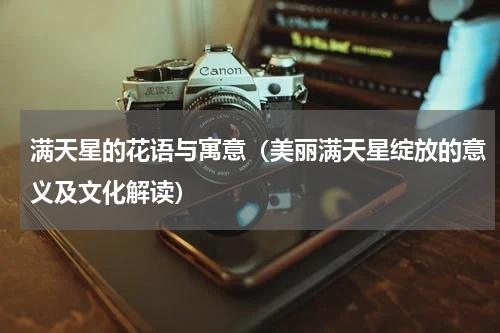 满天星的花语与寓意（美丽满天星绽放的意义及文化解读）