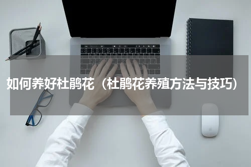 如何养好杜鹃花（杜鹃花养殖方法与技巧）