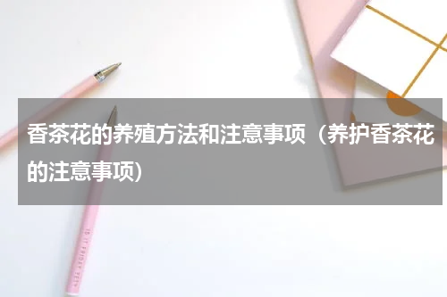 香茶花的养殖方法和注意事项（养护香茶花的注意事项）