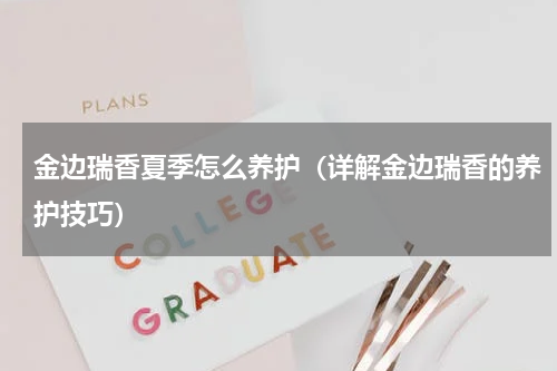 金边瑞香夏季怎么养护（详解金边瑞香的养护技巧）