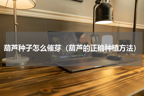 葫芦种子怎么催芽（葫芦的正确种植方法）