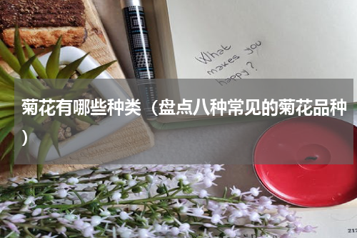 菊花有哪些种类（盘点八种常见的菊花品种）