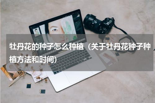 牡丹花的种子怎么种植（关于牡丹花种子种植方法和时间）